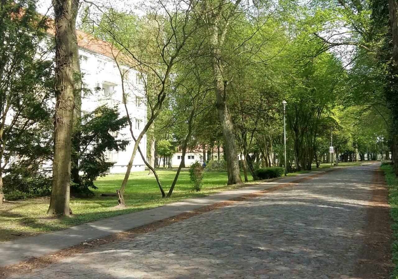 Ferienwohnung "Am Schlosspark" Neetzow Exteriér fotografie